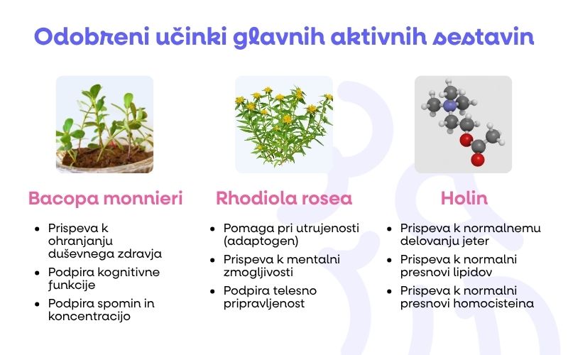 (Slovinština) Jak se zklidnit…